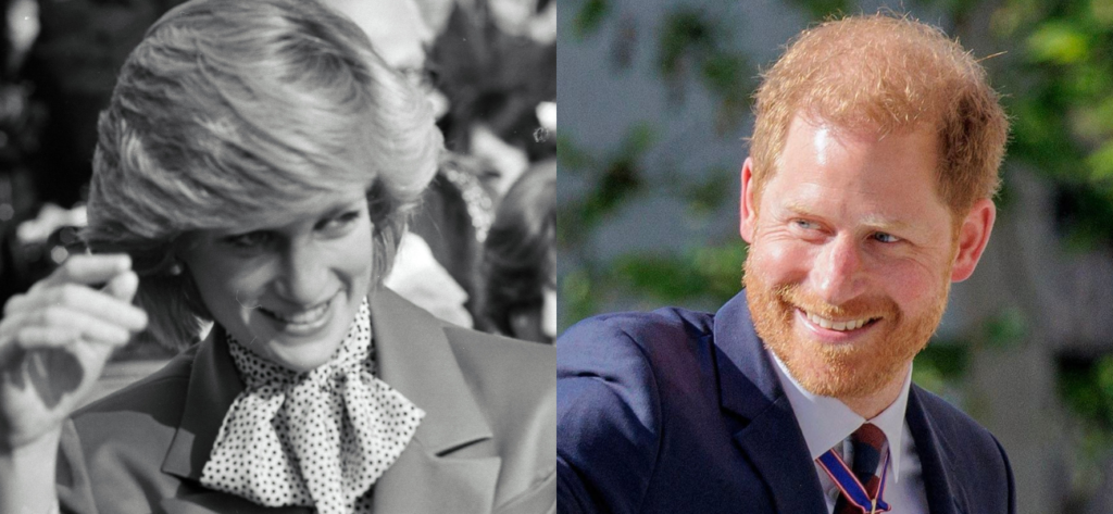 Princess Diana's Shocking Nickname For Prince Harry Revealed