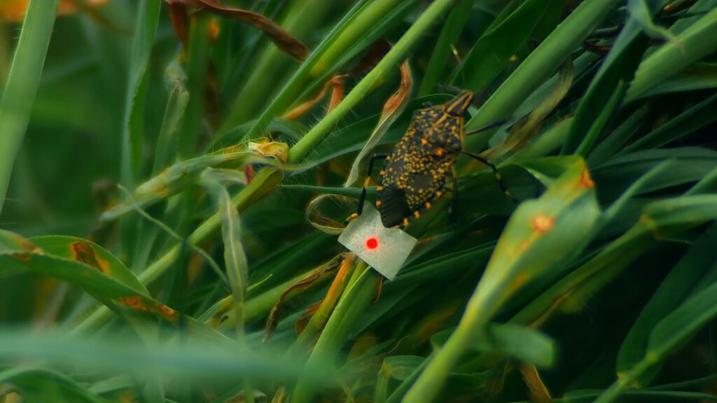 REPORT: CPH:FORUM 2026 - Cineuropa