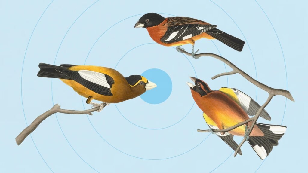 Research: How the “Accent Penalty” Determines Who Gets Heard