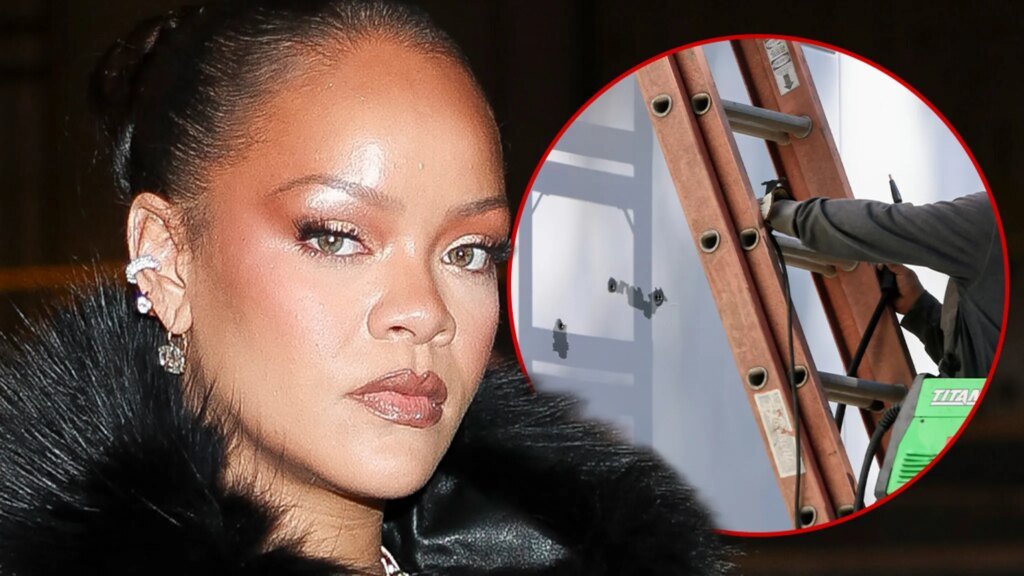 Rihanna's Alleged House Shooter Could Lose Ability to Practice Speech-Language Pathology