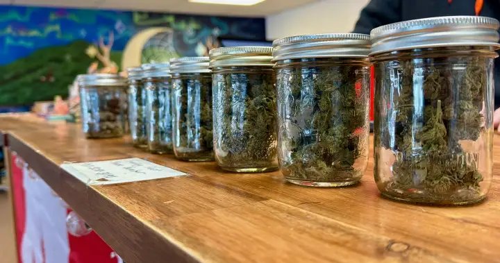 Tensions grow between N.S., First Nations as police announce new cannabis raids – Halifax Tensions grow between N.S., First Nations as police announce new cannabis raids - Halifax