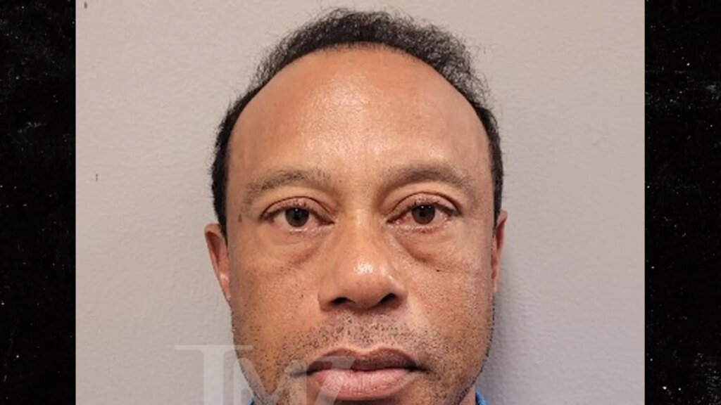Tiger Woods Mug Shot Released After DUI Arrest