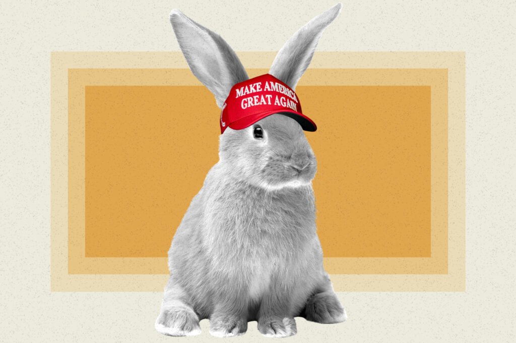 Why one of the world's biggest animal rights group is praising Trump