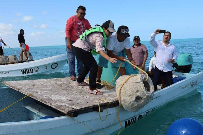 Yucatán installs its first artificial reef off the coast of Río Lagartos Yucatán installs its first artificial reef off the coast of Río Lagartos