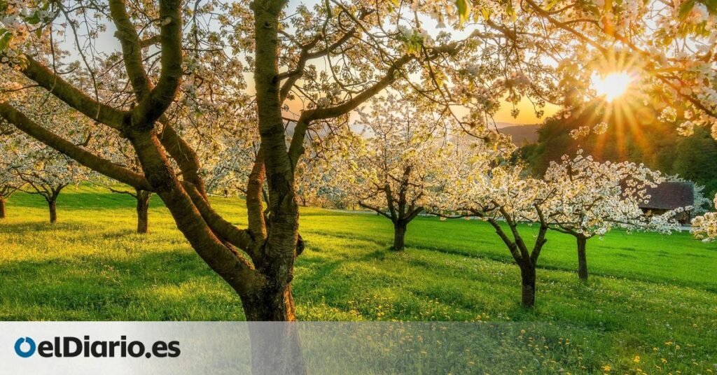 a qué hora exacta es el equinoccio a qué hora exacta es el equinoccio