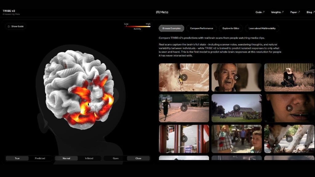 la IA de Meta que predice cómo reaccionará tu cerebro ante vídeos, textos o sonidos