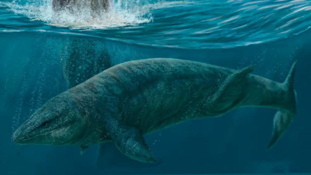 ‘Prognathodon cipactli,’ a sea monster from the age of the dinosaurs discovered in Mexico | Science