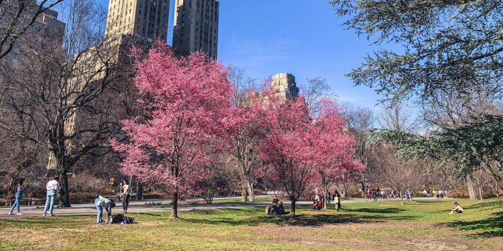▷ Don't miss these TOP Things To Do In New York City in April