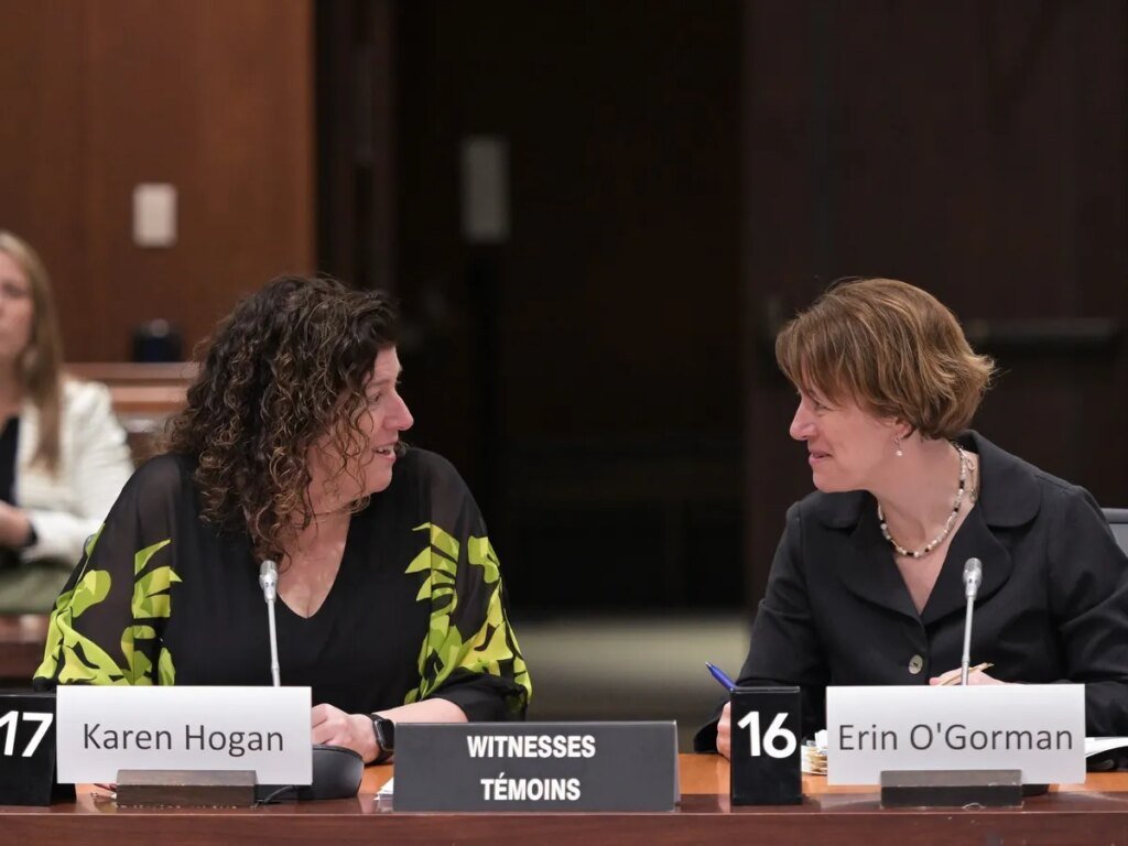 'An overstay has repercussions': Officials promise action after damning report on international student program