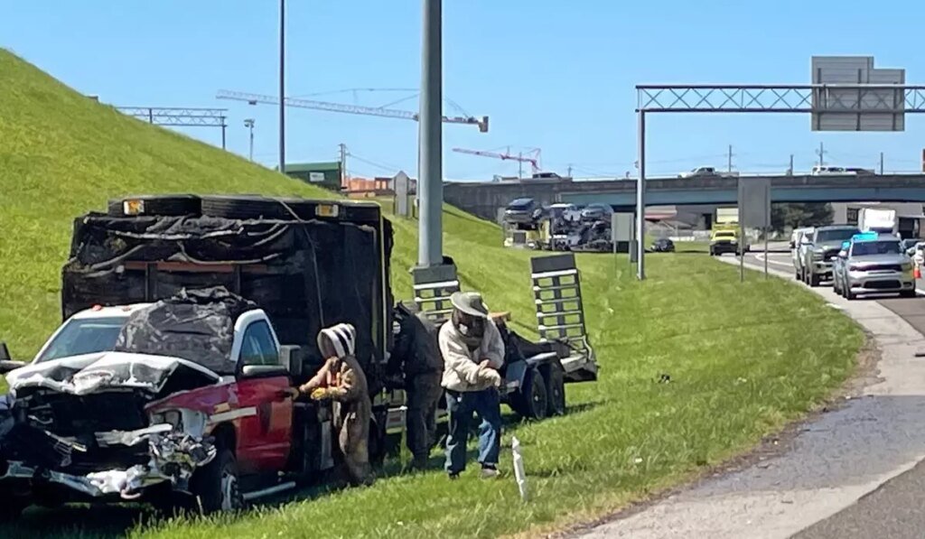 1 million bees make for bumper-to-buzzer traffic on a Tennessee highway ramp