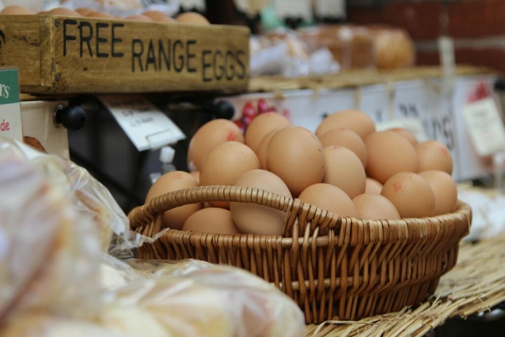 Do Eggs Go Bad? Shelf Life and Carton Dates Explained