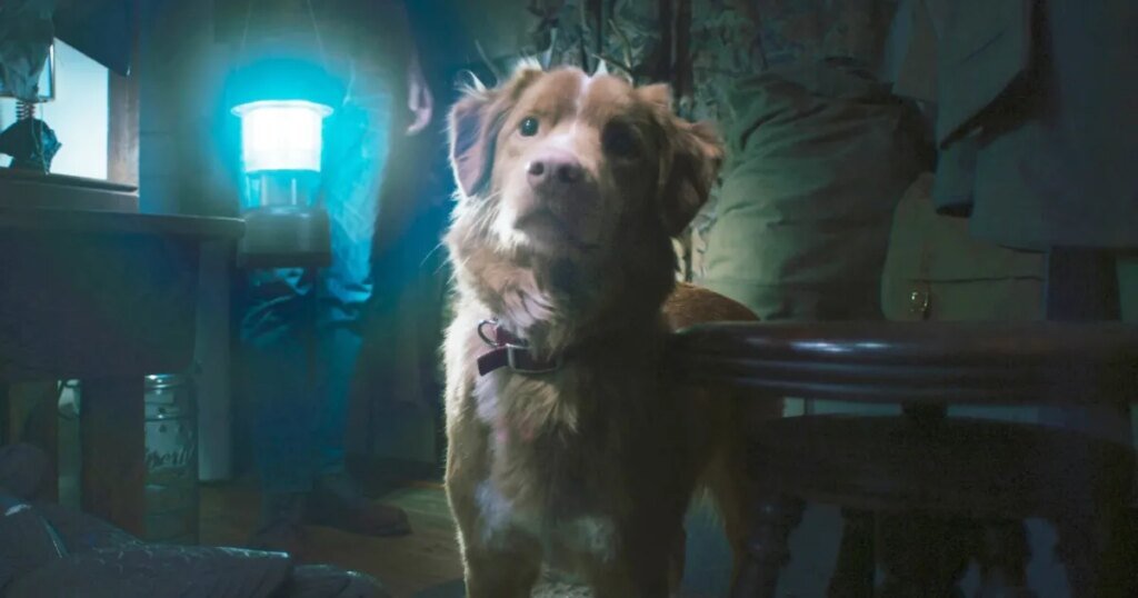 34 Best Movies on Hulu Right Now (April 2026)