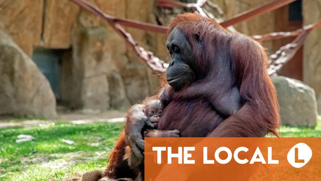 A roundup of the latest news on Thursday