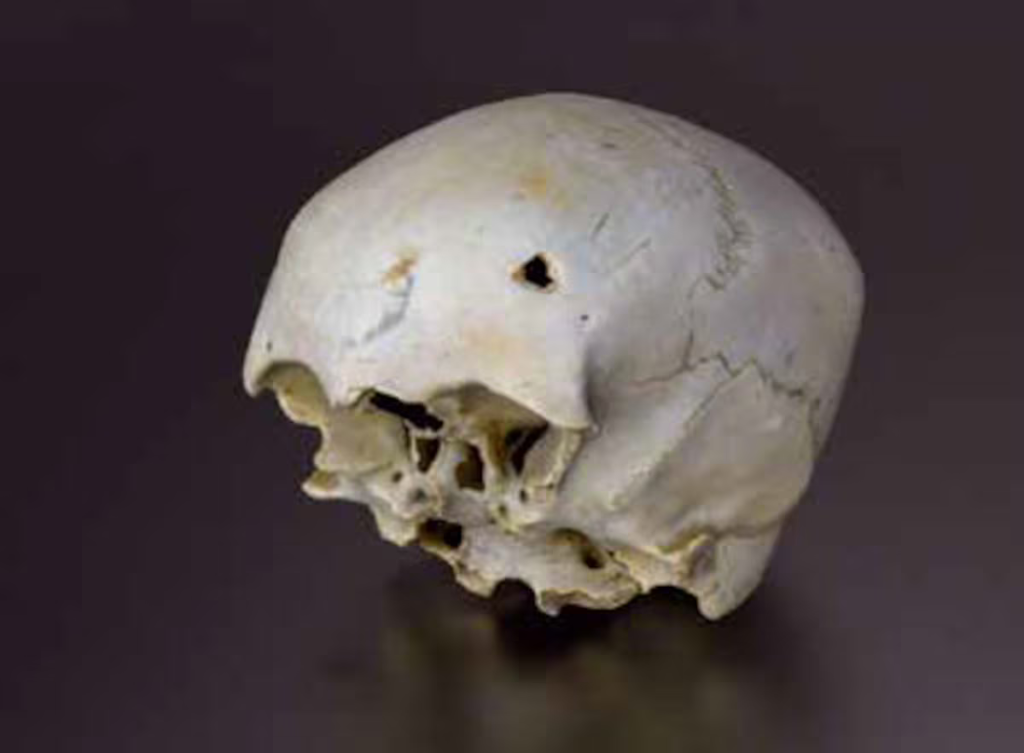 Almost intact Italian ship sunk by Francis Drake in the 16th century discovered in the Bay of Cádiz | International