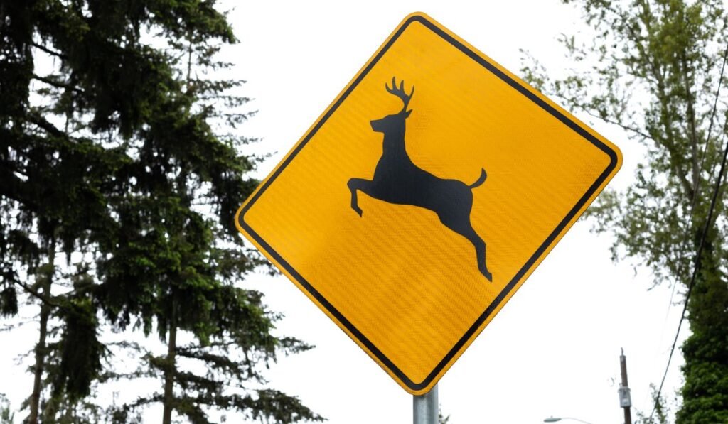 Annapolis man arrested after probe in illegal deer hunting uncovers suspected explosives in home