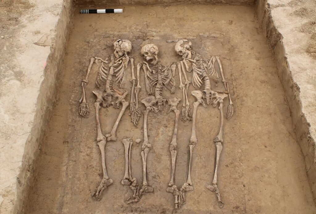 Genetics reveals that the fall of the Roman Empire shaped Europe’s population