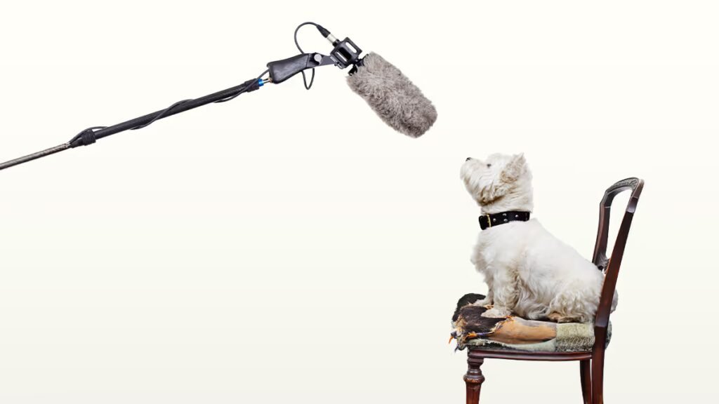 How to Nail Your Next Media Interview