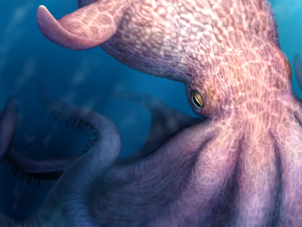 Kraken-like giant octopus once ruled the seas, study suggests