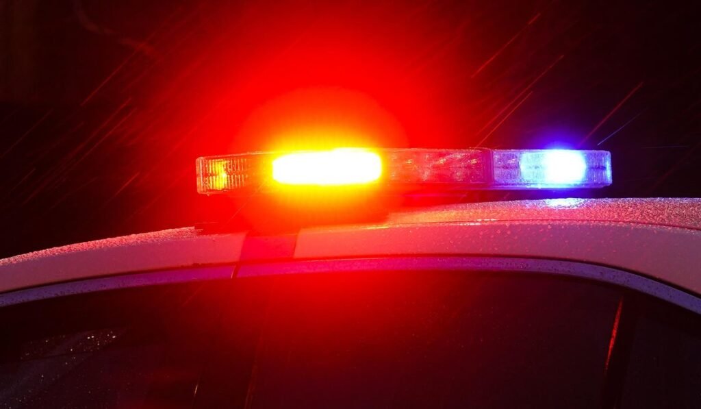 Memphis police investigating human remains believed to be of three young children