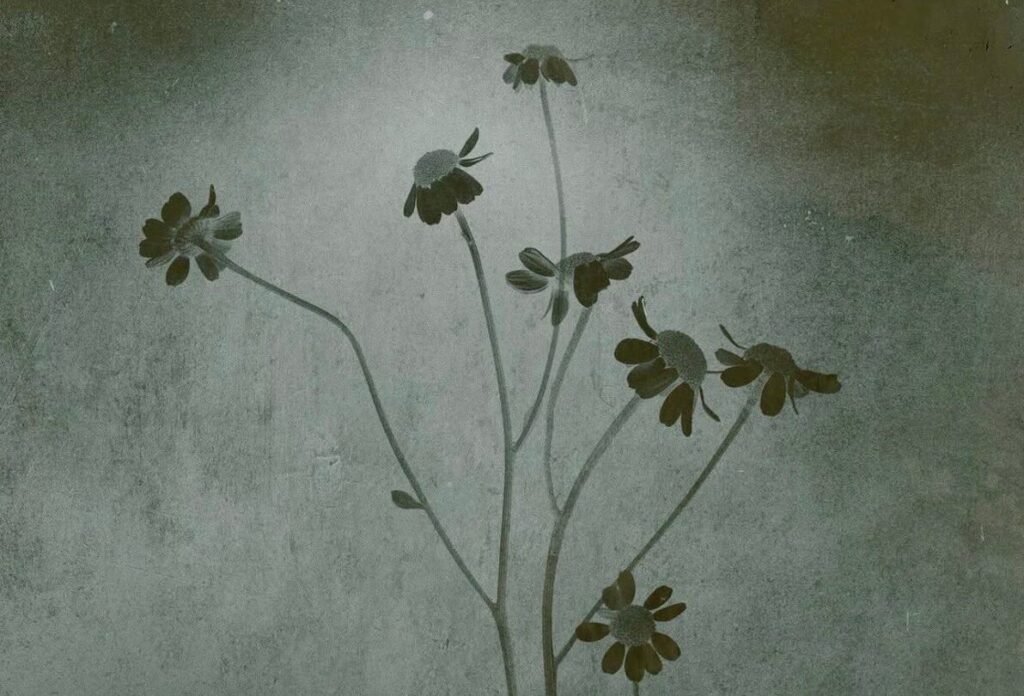 PopBase’s Cryptic Date Announcement Leaves Social Media Users Baffled