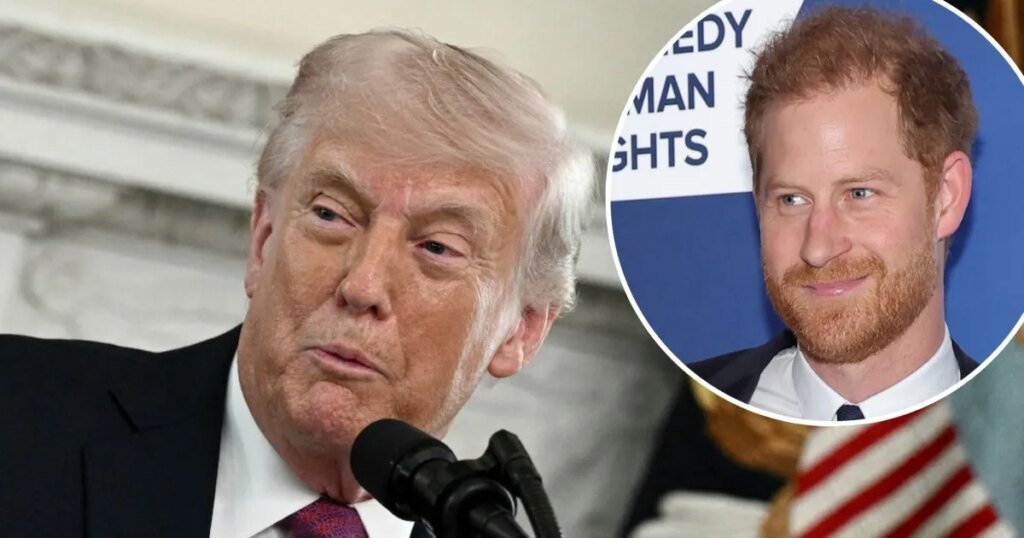 President Trump Makes Subtle Dig at Harry and Meghan