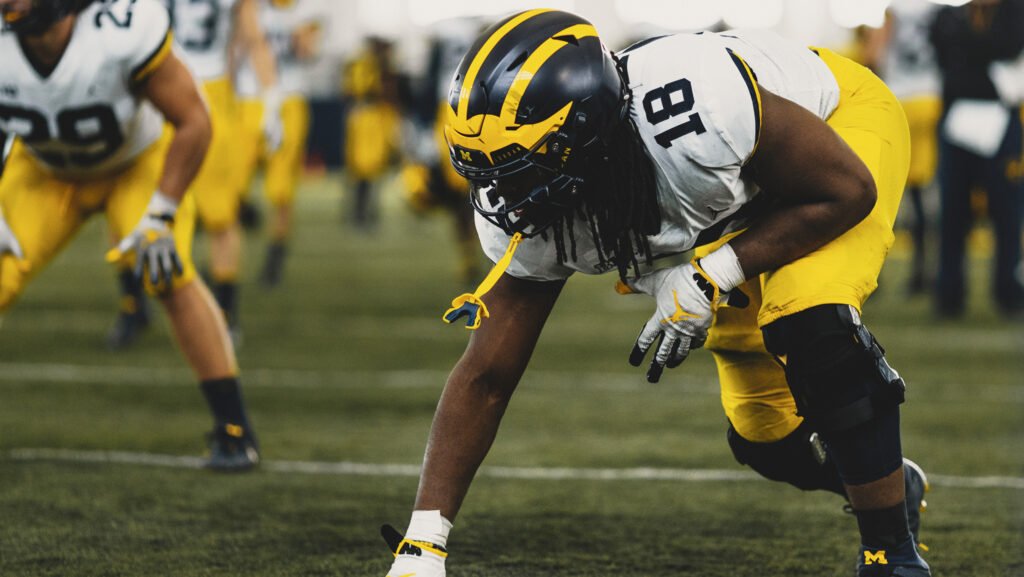REDBLACKS sign National defensive lineman Luiji Vilain REDBLACKS sign National defensive lineman Luiji Vilain
