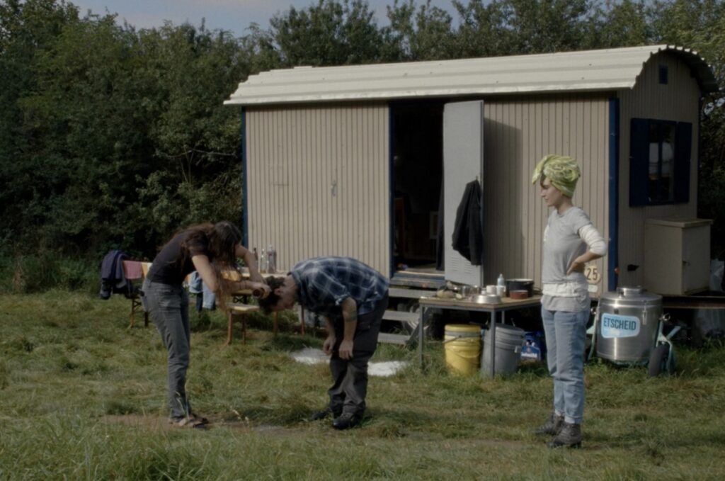 Review: Does the Horse Have to Work, Too?