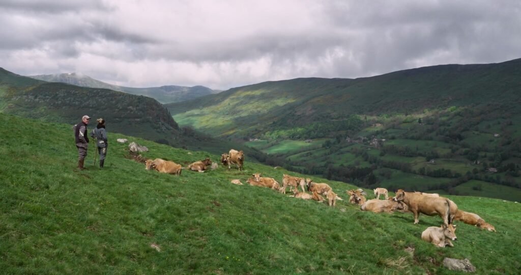 Review: La voix du troupeau