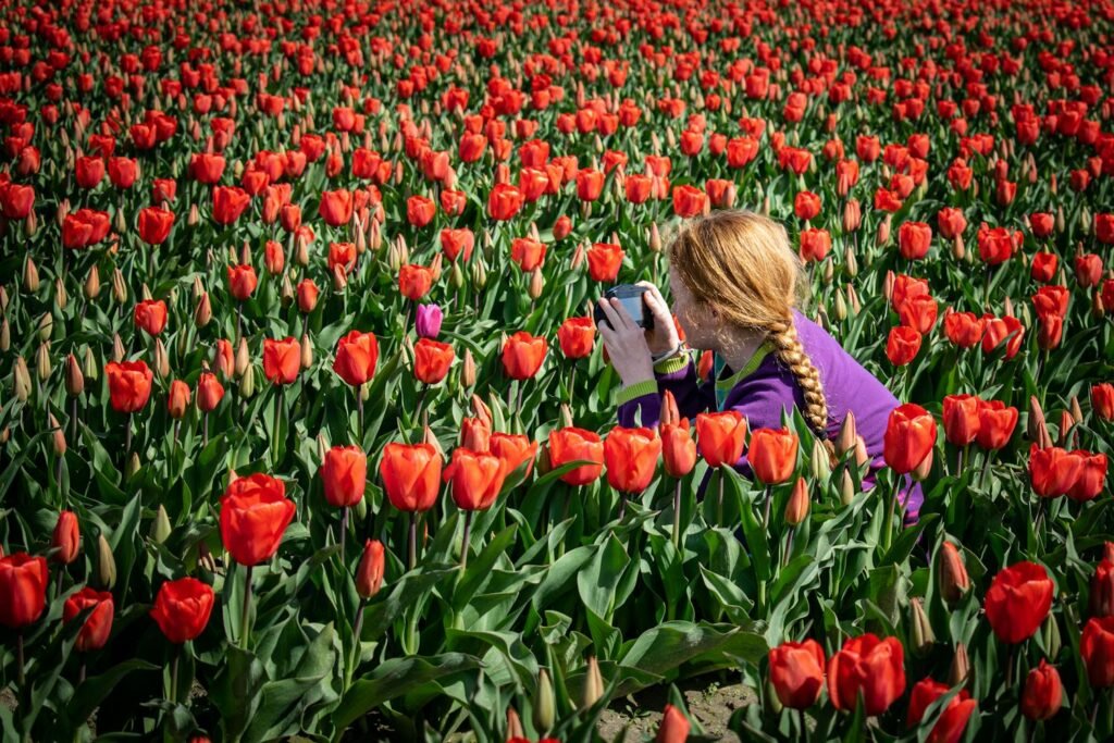 Spring Hobbies: 9 Fun Ideas to Try This Season