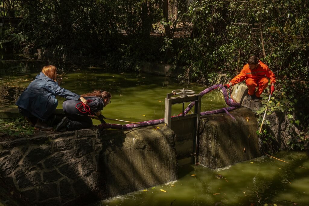 The race against time to save Xochimilco, Mexico City’s ancient wetland