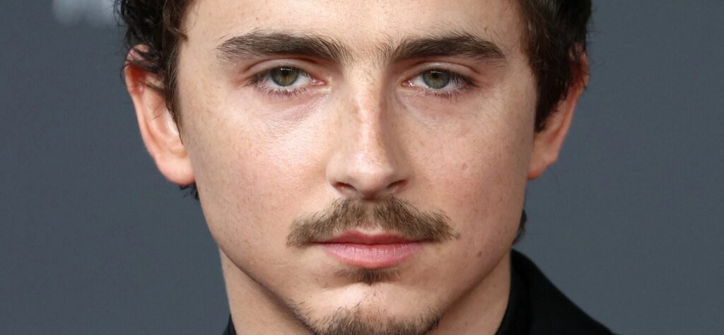 Timothée Chalamet Called ‘Jerk’ For ‘Manspreading’ At NBA Game