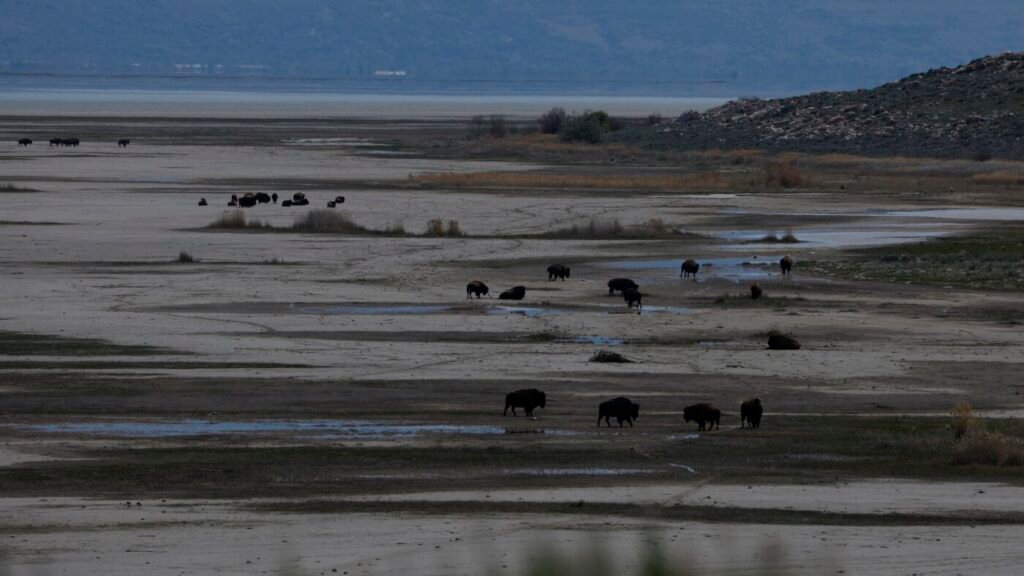 Why Trump wants to spend $1 billion on Great Salt Lake : NPR