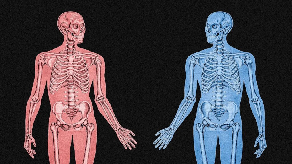 Why workplaces need a gendered health approach Why workplaces need a gendered health approach