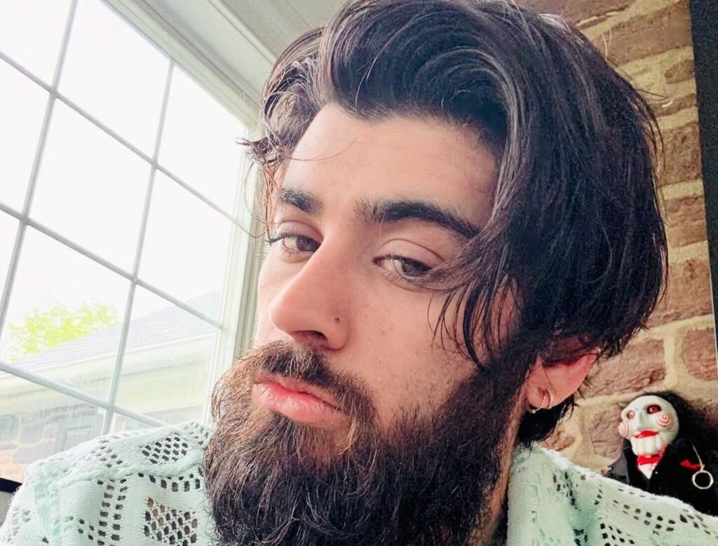 Zayn Malik Allegedly Punches Louis Tomlinson During Netflix Documentary Filming