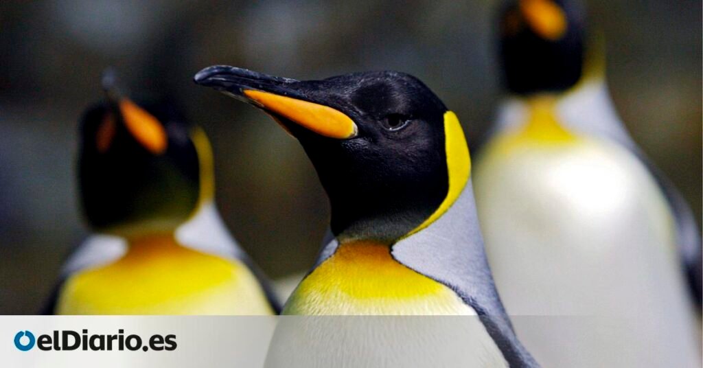 el hielo se rompe antes y pone contra las cuerdas a tres especies esenciales