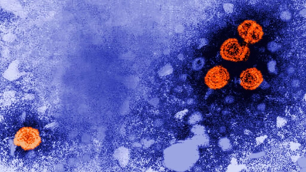A cure for hepatitis B has been elusive, but this experimental drug gets close A cure for hepatitis B has been elusive, but this experimental drug gets close