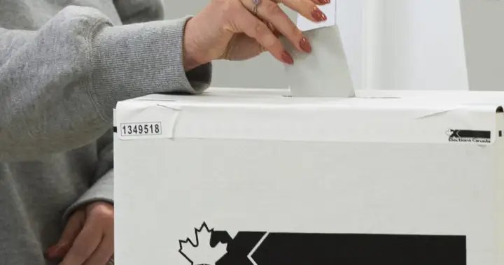 Alberta elector list breach shows legal gaps across Canada, watchdogs warn Alberta elector list breach shows legal gaps across Canada, watchdogs warn