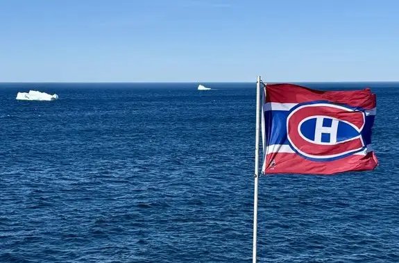 Alex Newhook fans turn N.L. bars into ‘mini Bell Centres’ during Habs playoff games Alex Newhook fans turn N.L. bars into ‘mini Bell Centres’ during Habs playoff games