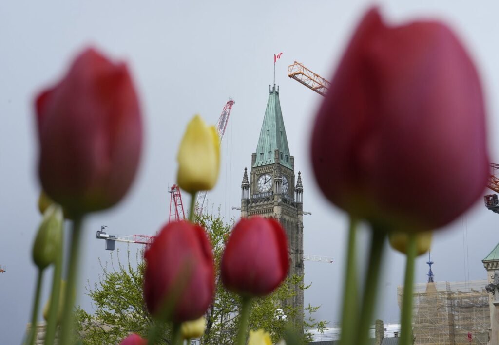 Border law to face constitutional challenge over new refugee claim rules