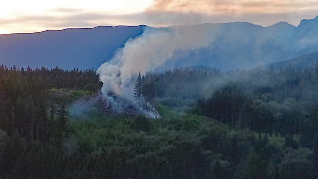 Brush fire breaks out in Maple Ridge forest Brush fire breaks out in Maple Ridge forest