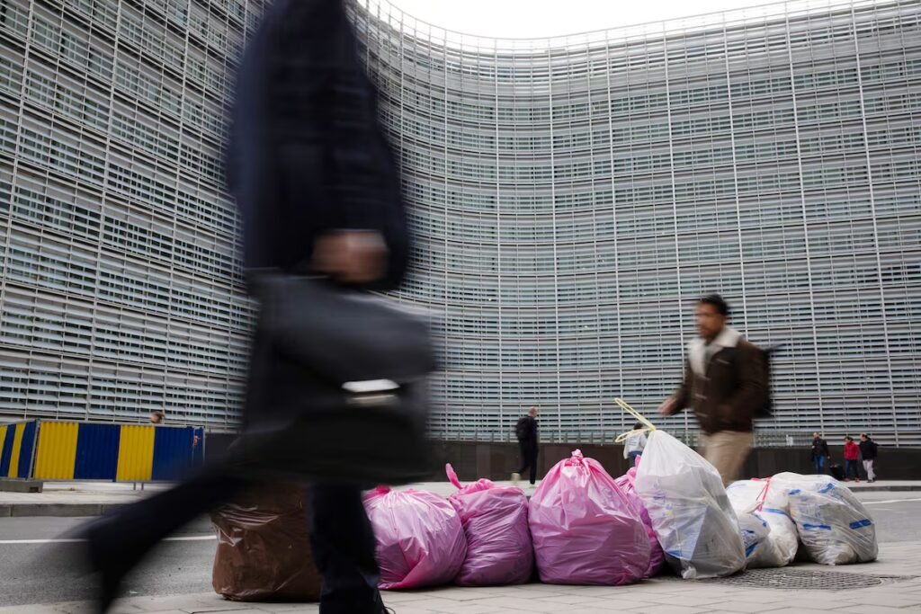 Brussels, a city without garbage containers | International