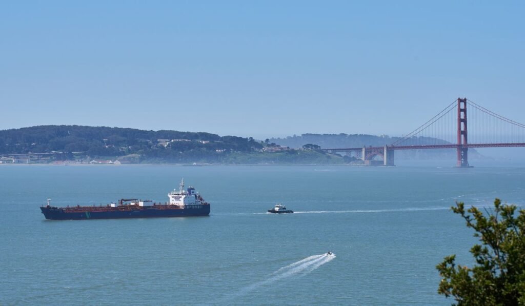 California turns to AI as whale deaths spike
