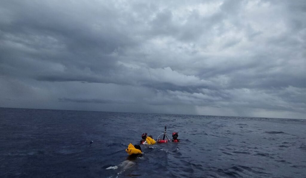 Coast Guard, Air Force rescue 11 people from plane crash off Florida coast