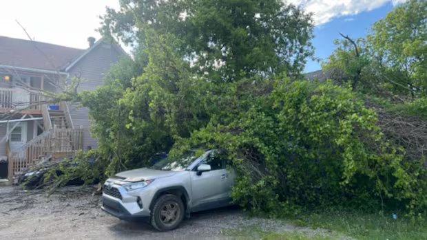 Communities in eastern Ontario, western Quebec lose power following strong winds Friday night Communities in eastern Ontario, western Quebec lose power following strong winds Friday night