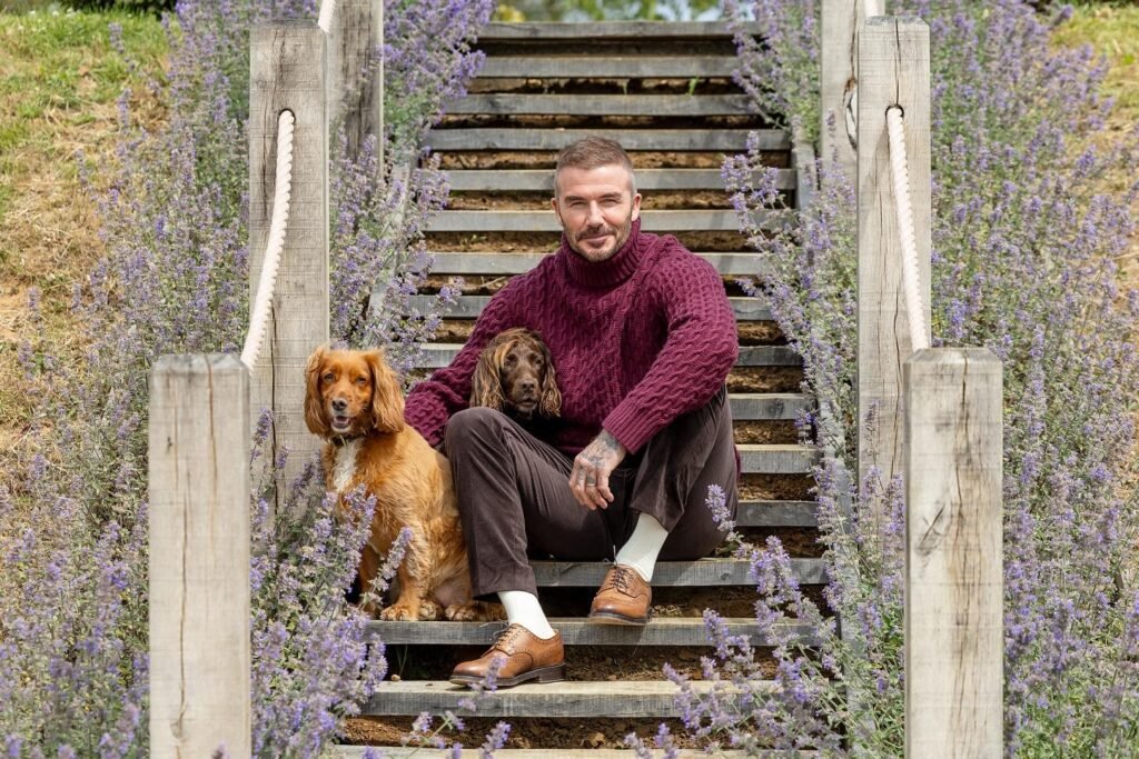 David Beckham’s Verizon Partnership Promises Ticket Access with 21 Days to Kickoff David Beckham’s Verizon Partnership Promises Ticket Access with 21 Days to Kickoff