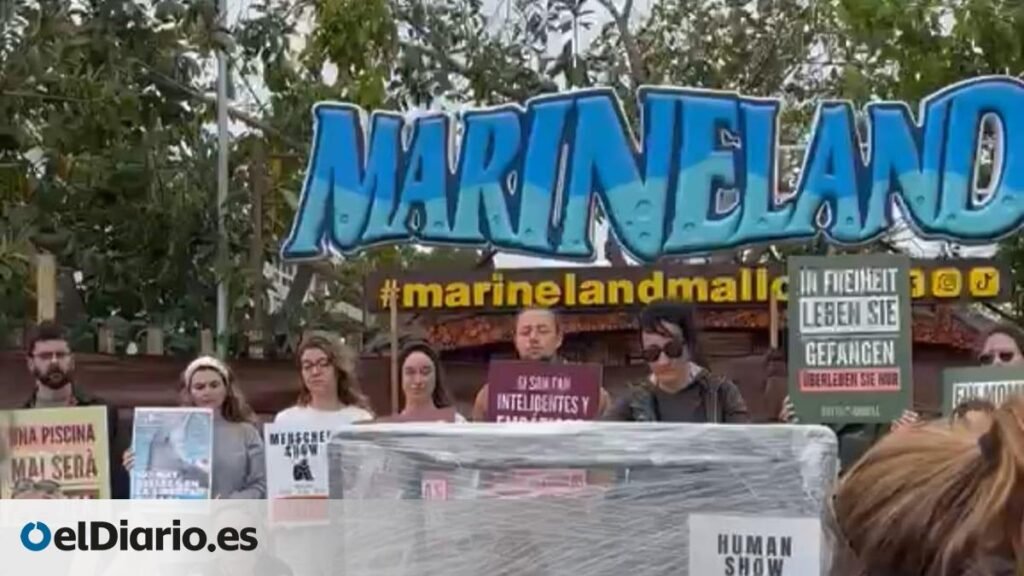Decenas de activistas se movilizan en Mallorca contra los delfinarios y zoológicos: “No es diversión, es esclavitud”