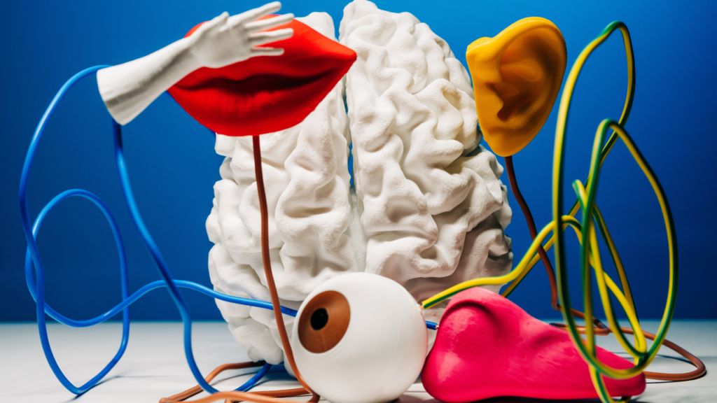 Design for the ADHD brain Design for the ADHD brain