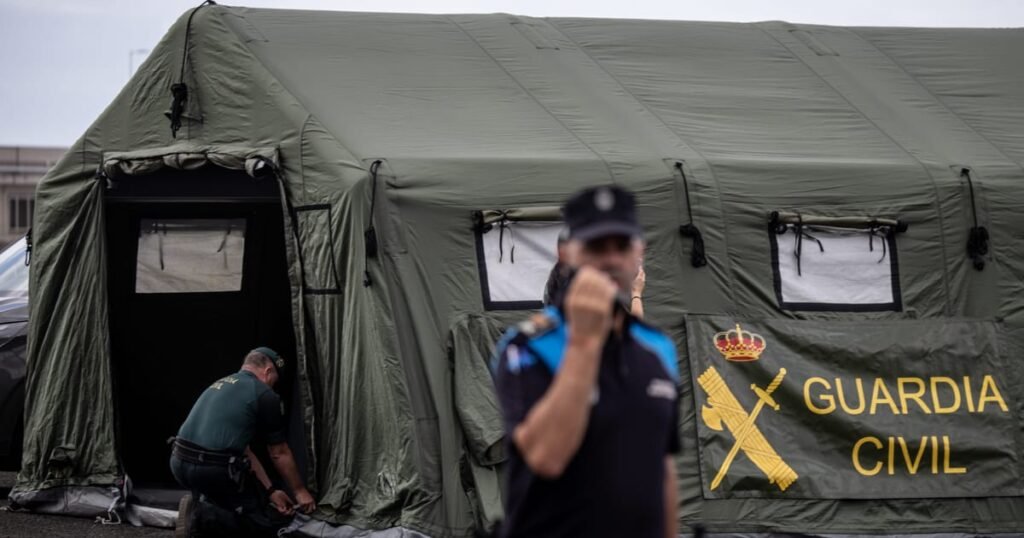 EU countries prepare repatriation of hantavirus cruise passengers – POLITICO