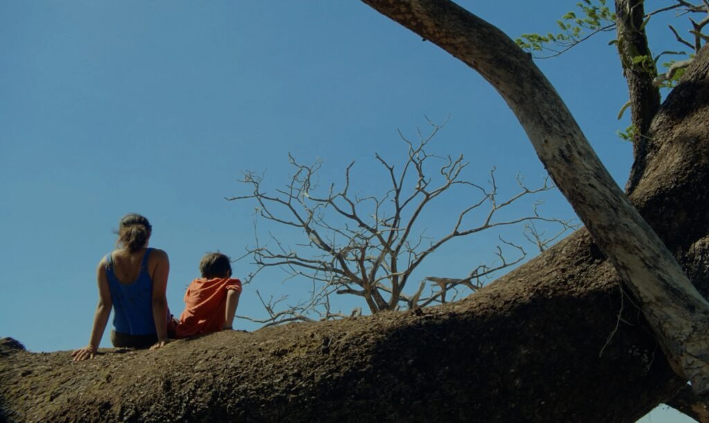 EXCLUSIVE: Luminalia boards world sales on Sofía Quirós Úbeda’s sophomore feature, Silent Birds EXCLUSIVE: Luminalia boards world sales on Sofía Quirós Úbeda’s sophomore feature, Silent Birds