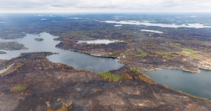 Fast-moving wildfire prompts evacuation order near Shellbrook, Sask. Fast-moving wildfire prompts evacuation order near Shellbrook, Sask.